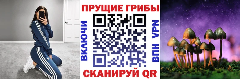 Псилоцибиновые грибы MAGIC MUSHROOMS  Медногорск 